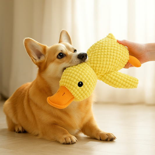 Plush Duck Toy