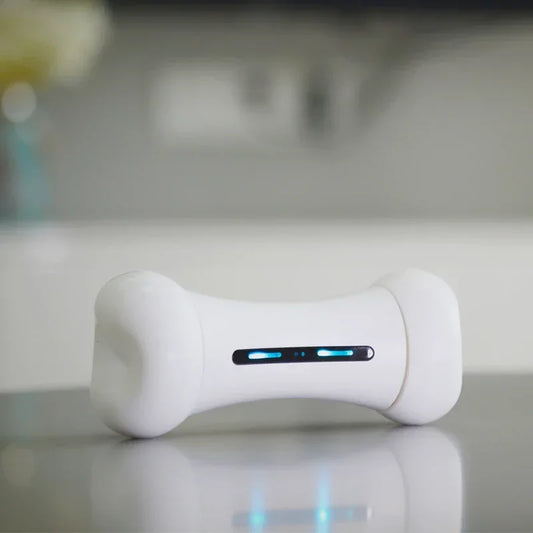 Intelligent Pet Bone