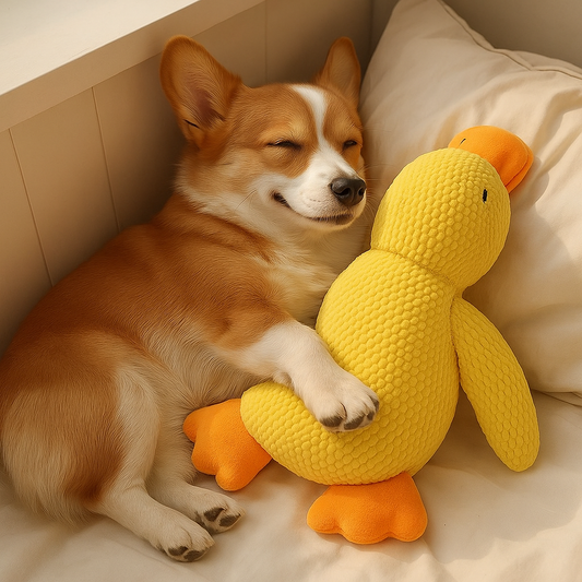 Plush Duck Toy