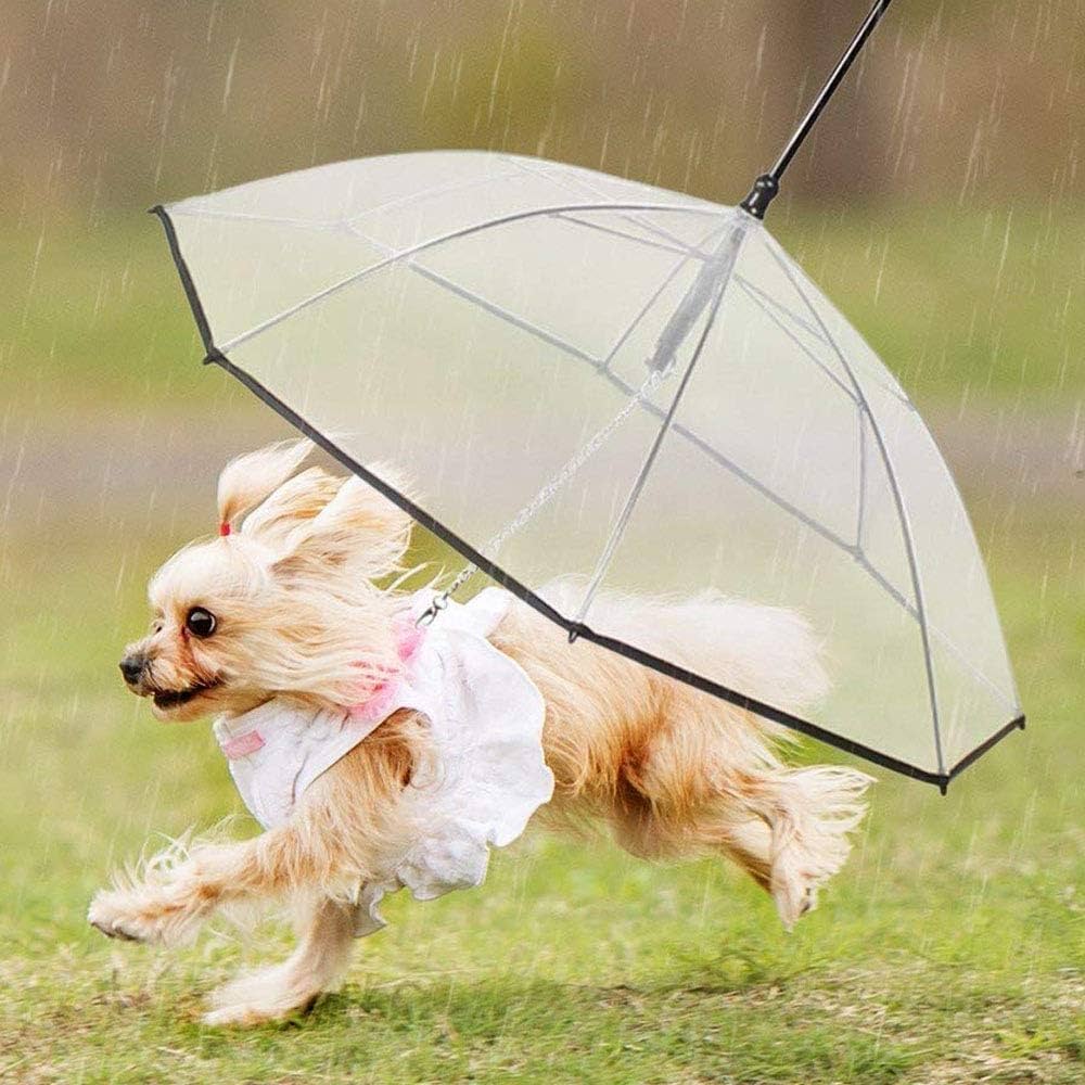 Pet Umbrella - GAUDLUS