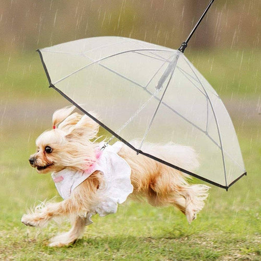 Pet Umbrella - GAUDLUS