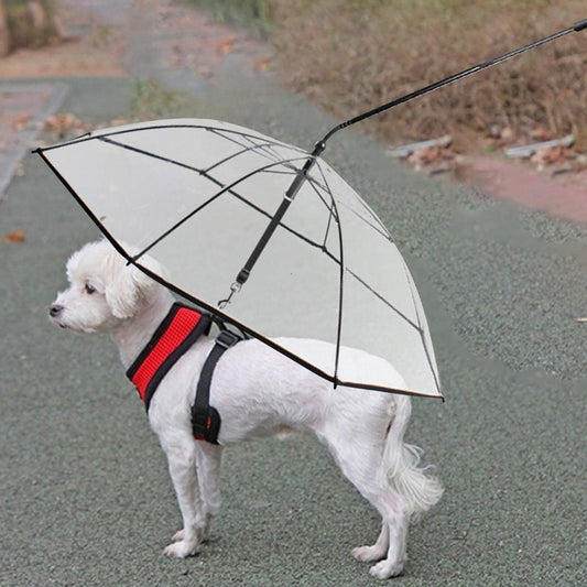 Pet Umbrella - GAUDLUS
