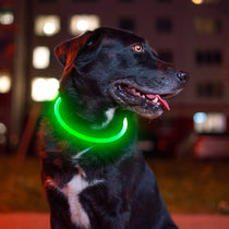 LED Collar - GAUDLUS
