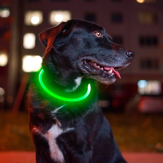 LED Collar - GAUDLUS