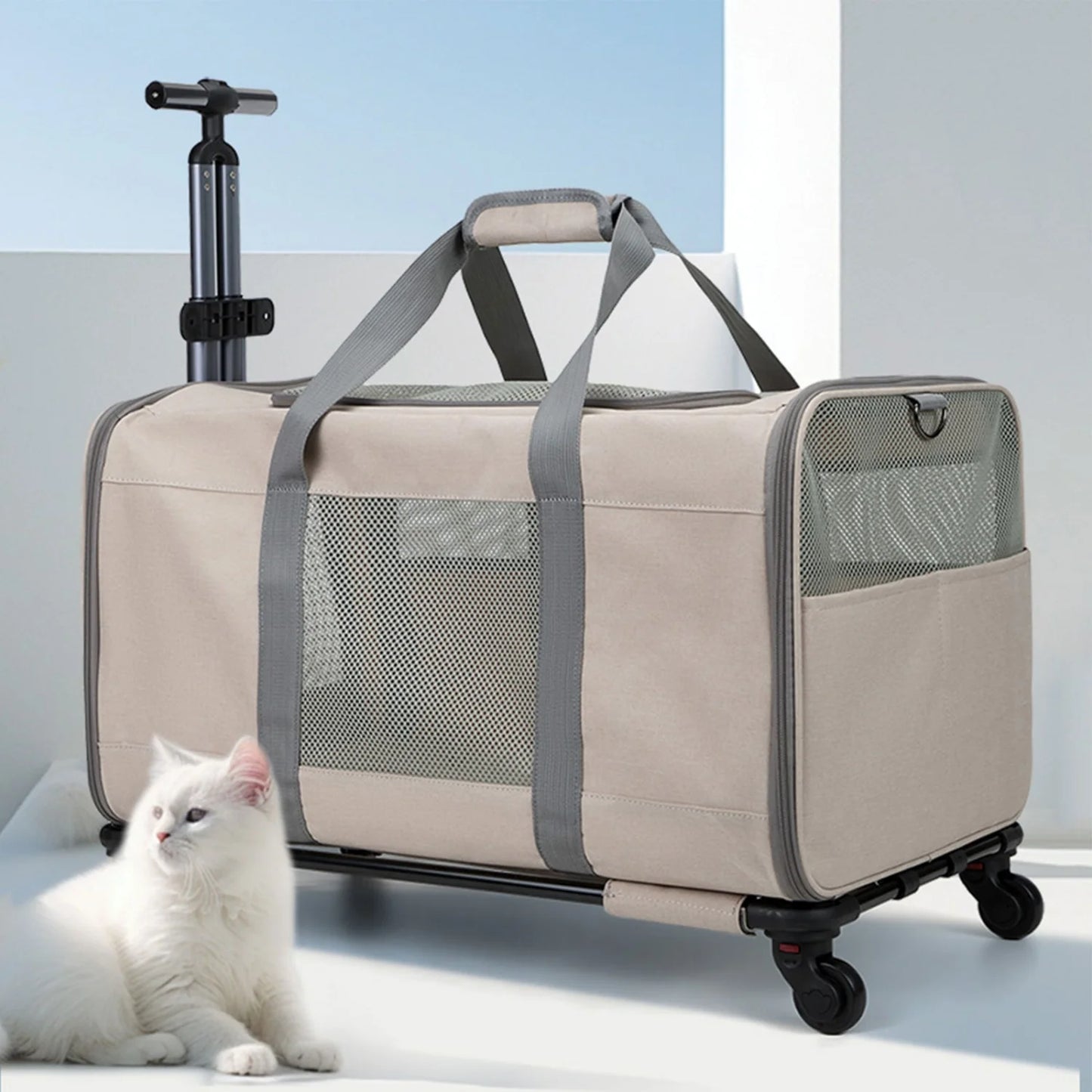 Pet Suitcase