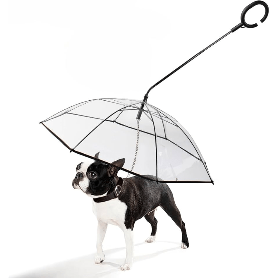Pet Umbrella - GAUDLUS