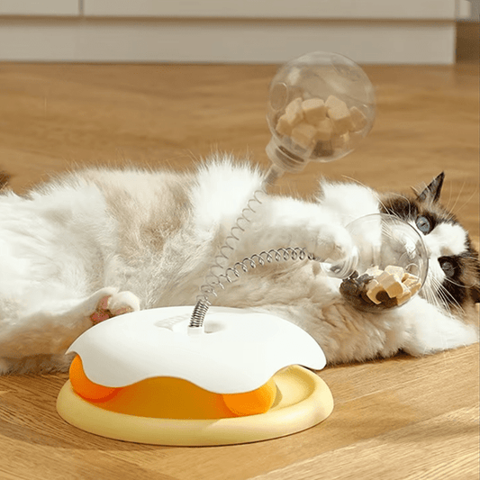 Interactive Food Feeders - GAUDLUS