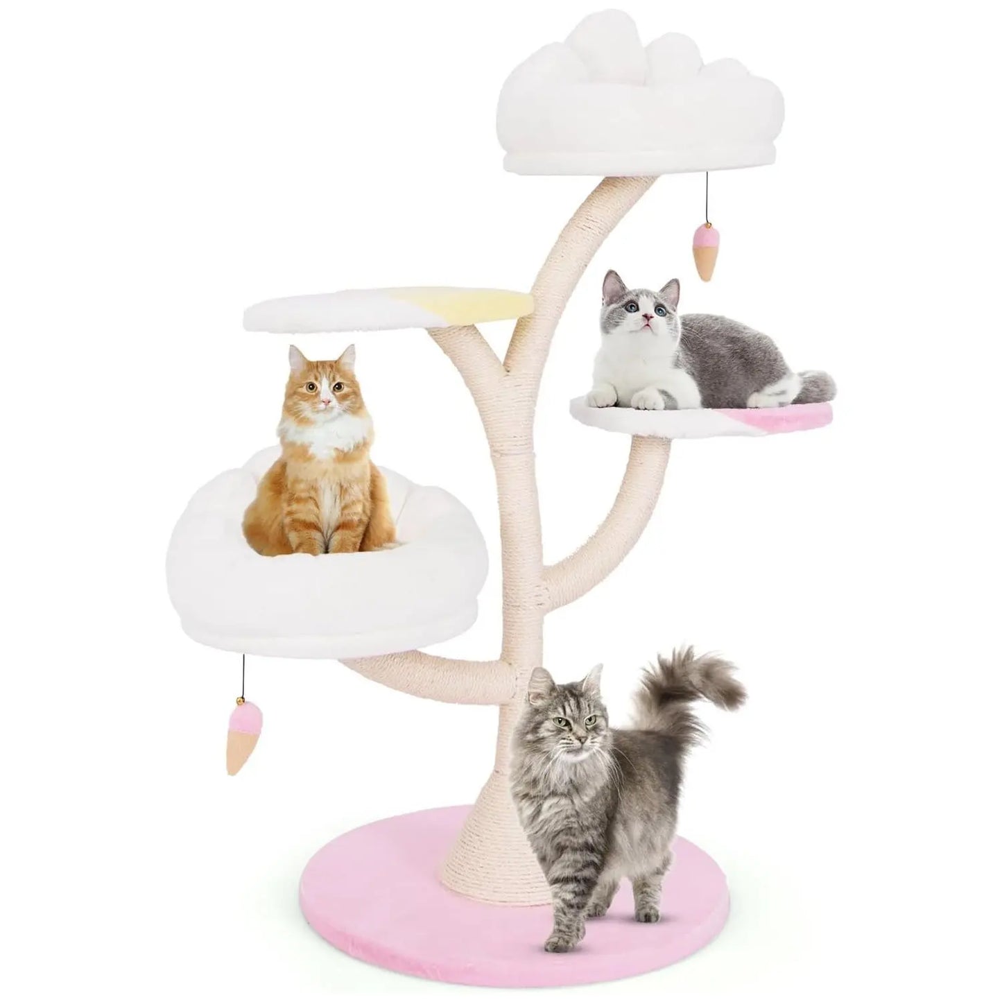 Arbre à chat fleuri