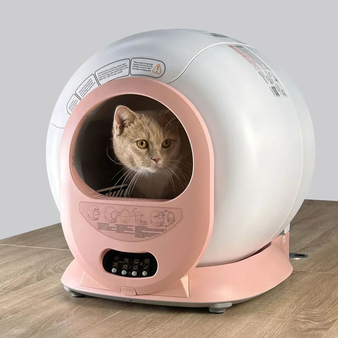 Cat Litter Box