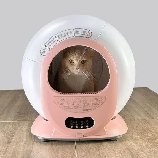 Cat Litter Box