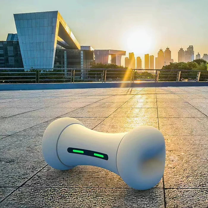 Intelligent Pet Bone