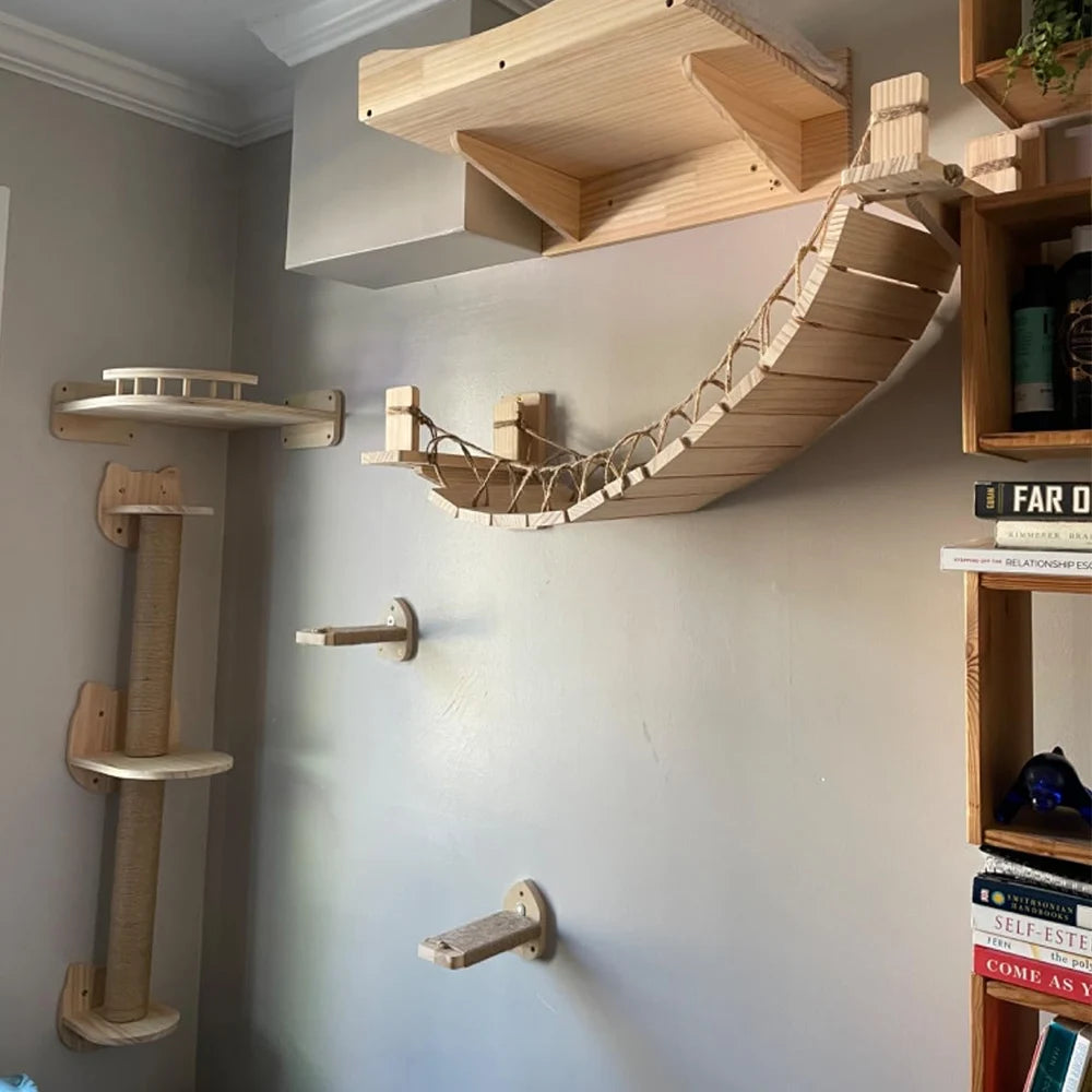 Climbing Shelf Set