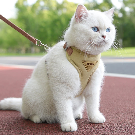 Fashionable Leash Set