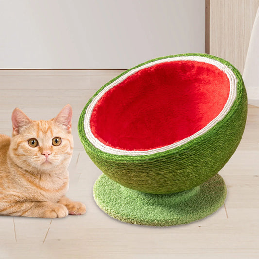Watermelon Cat Scratcher