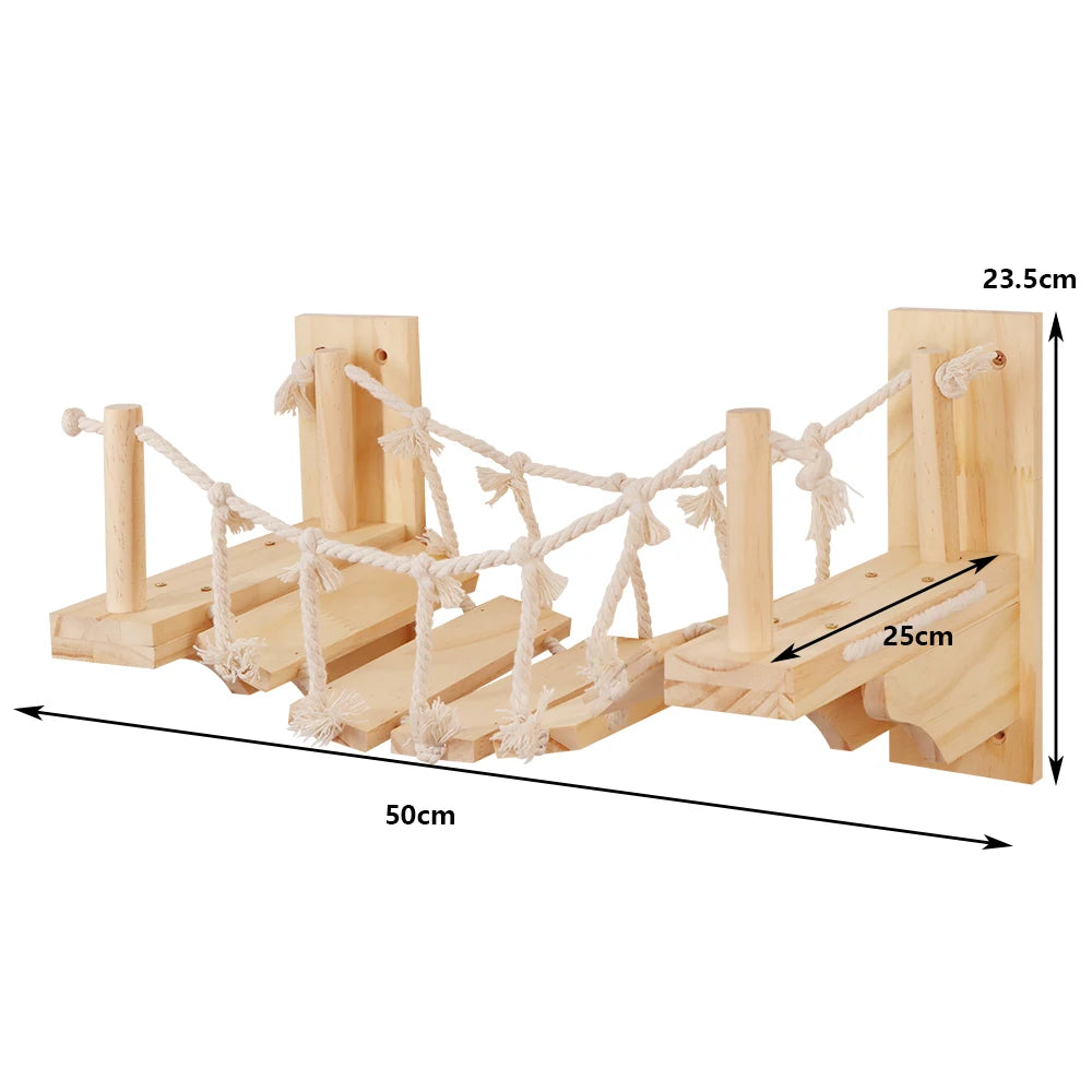 Cat Climbing Shelves