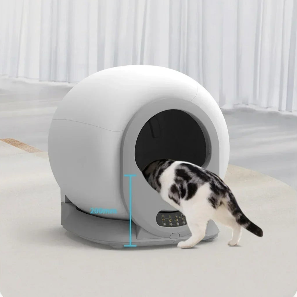 Cat Litter Box