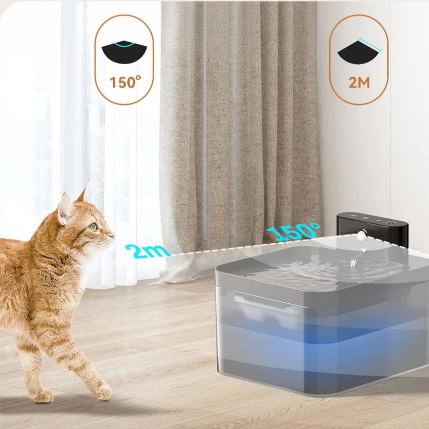 Automatic Water Fountain