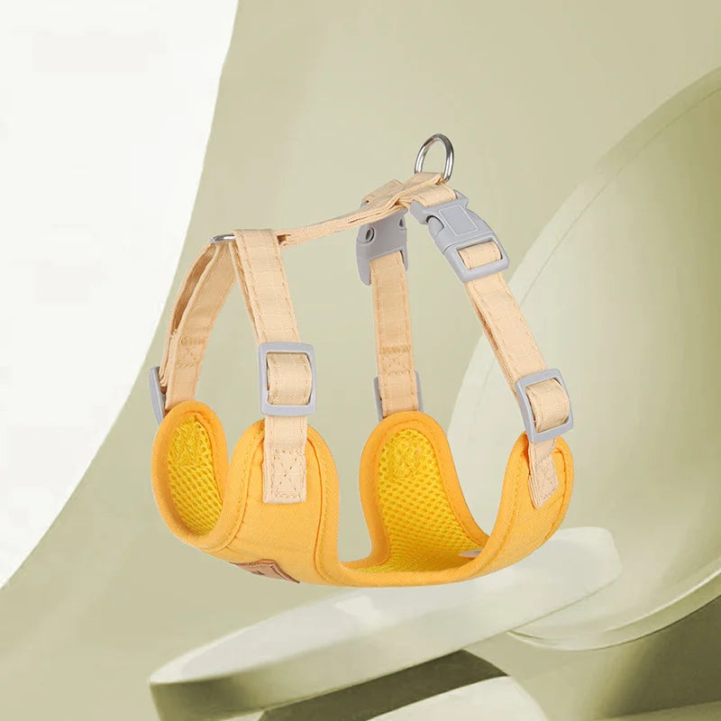 Ensemble de laisses à la mode