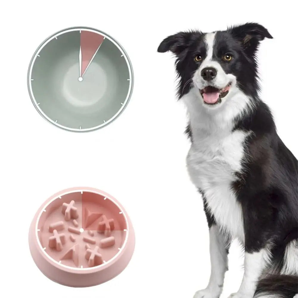 Multi-Use Feeder Bowl