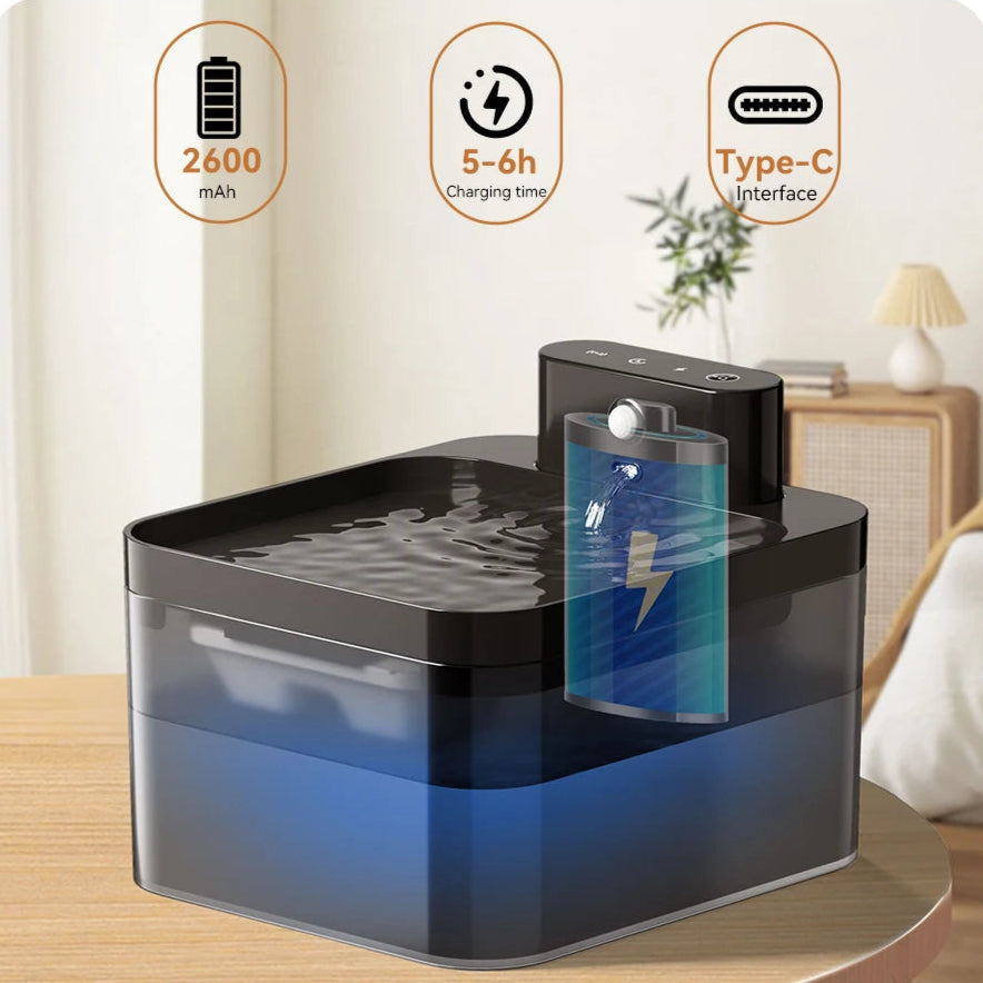 Automatic Water Fountain