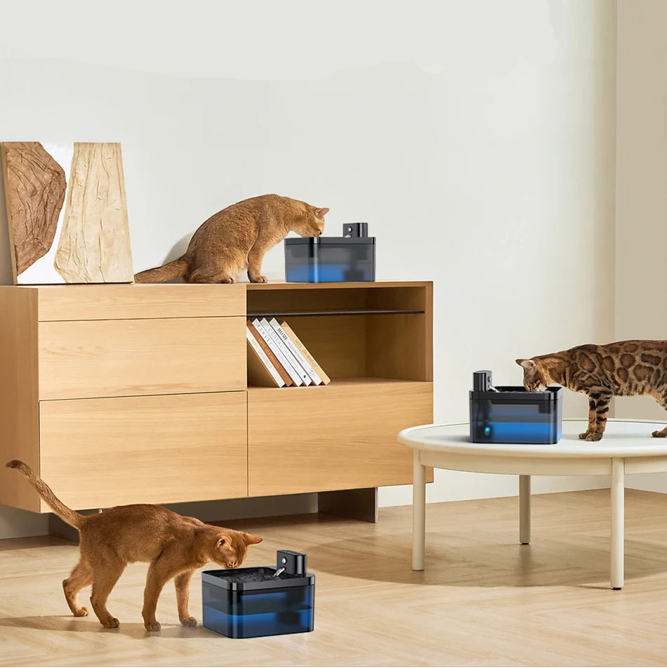 Automatic Water Fountain