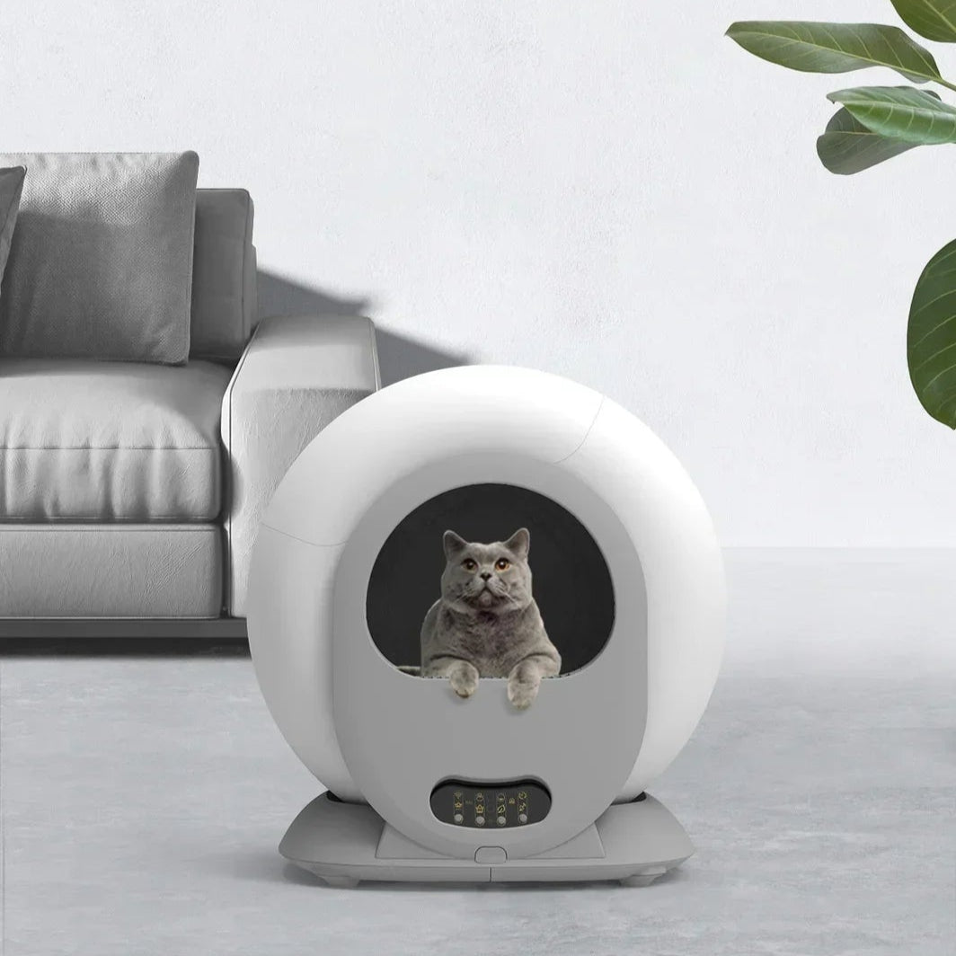 Cat Litter Box