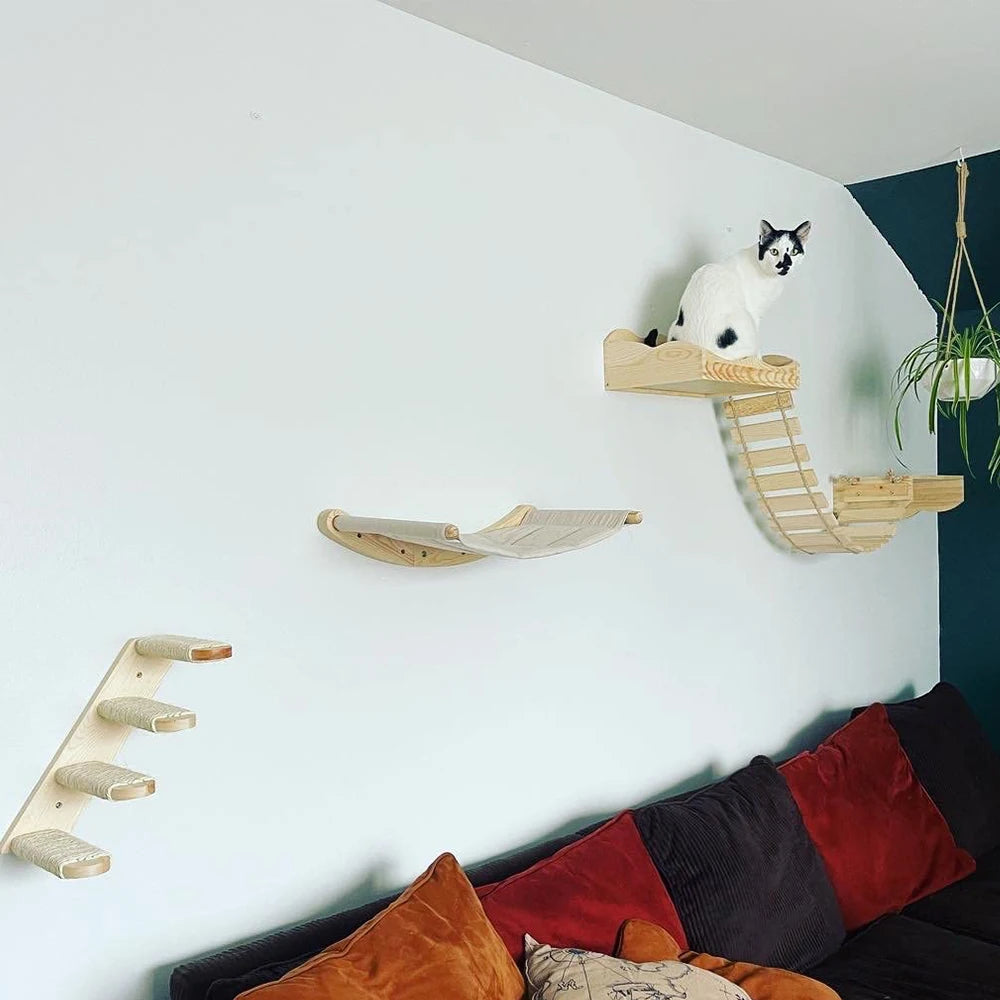 Climbing Shelf Set