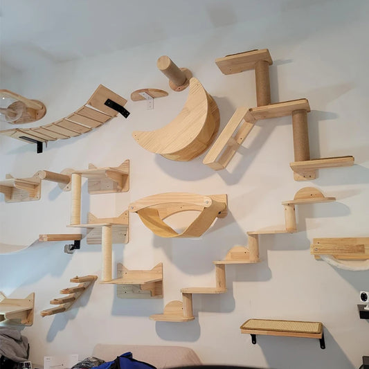 Cat Climbing Shelves