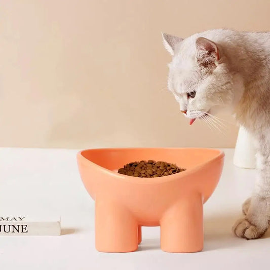 Pet Feeding Bowl