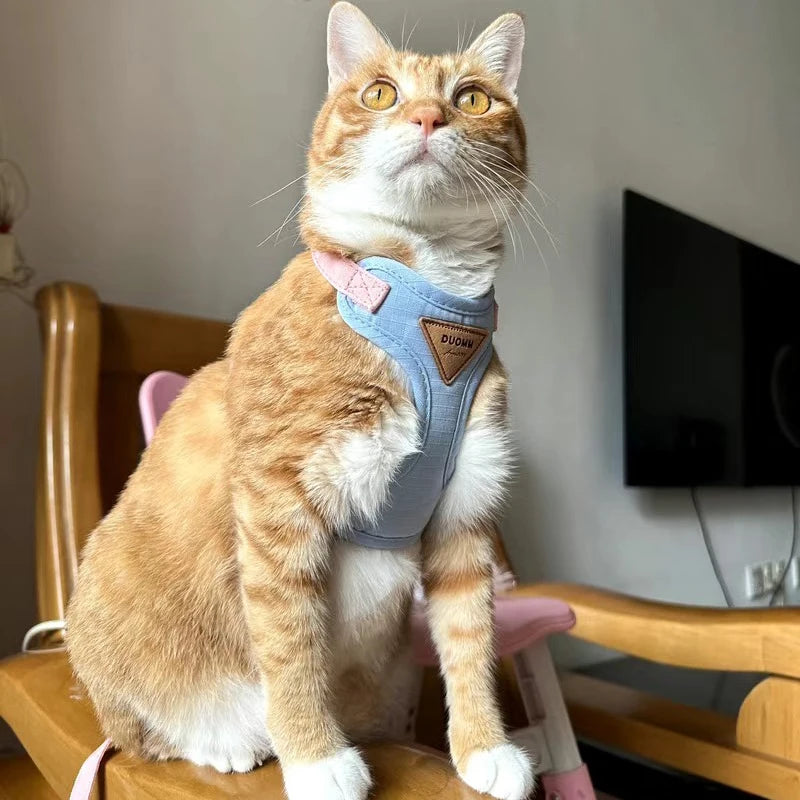 Ensemble de laisses à la mode