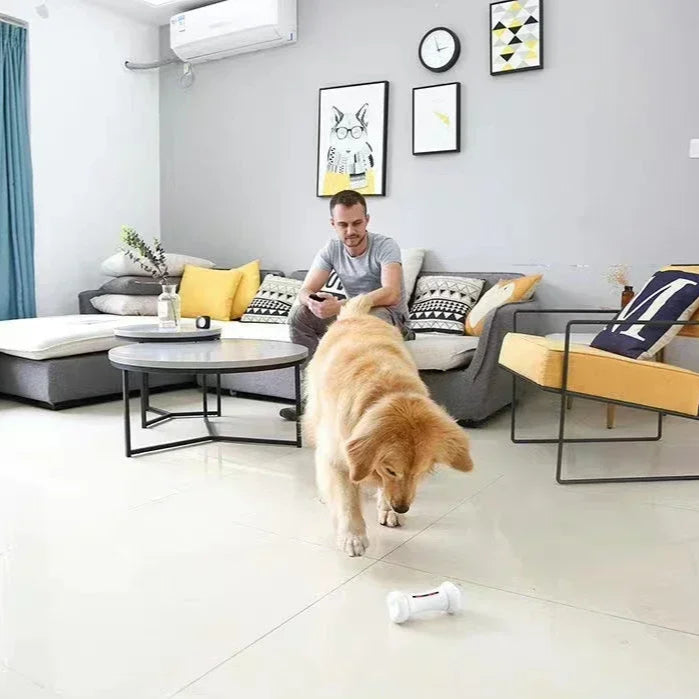 Intelligent Pet Bone