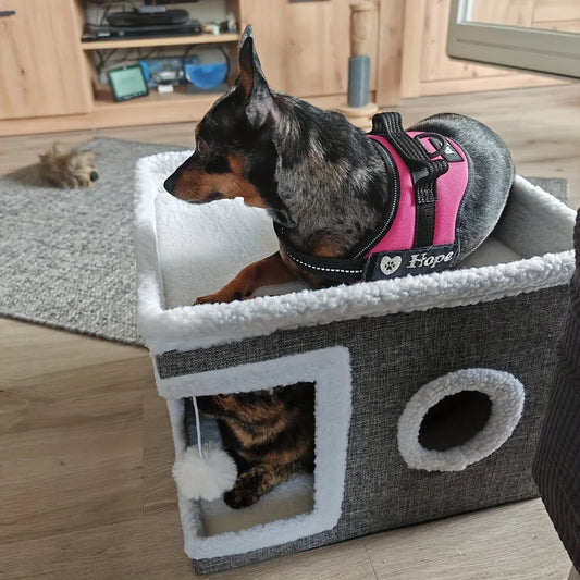 Foldable Cat House