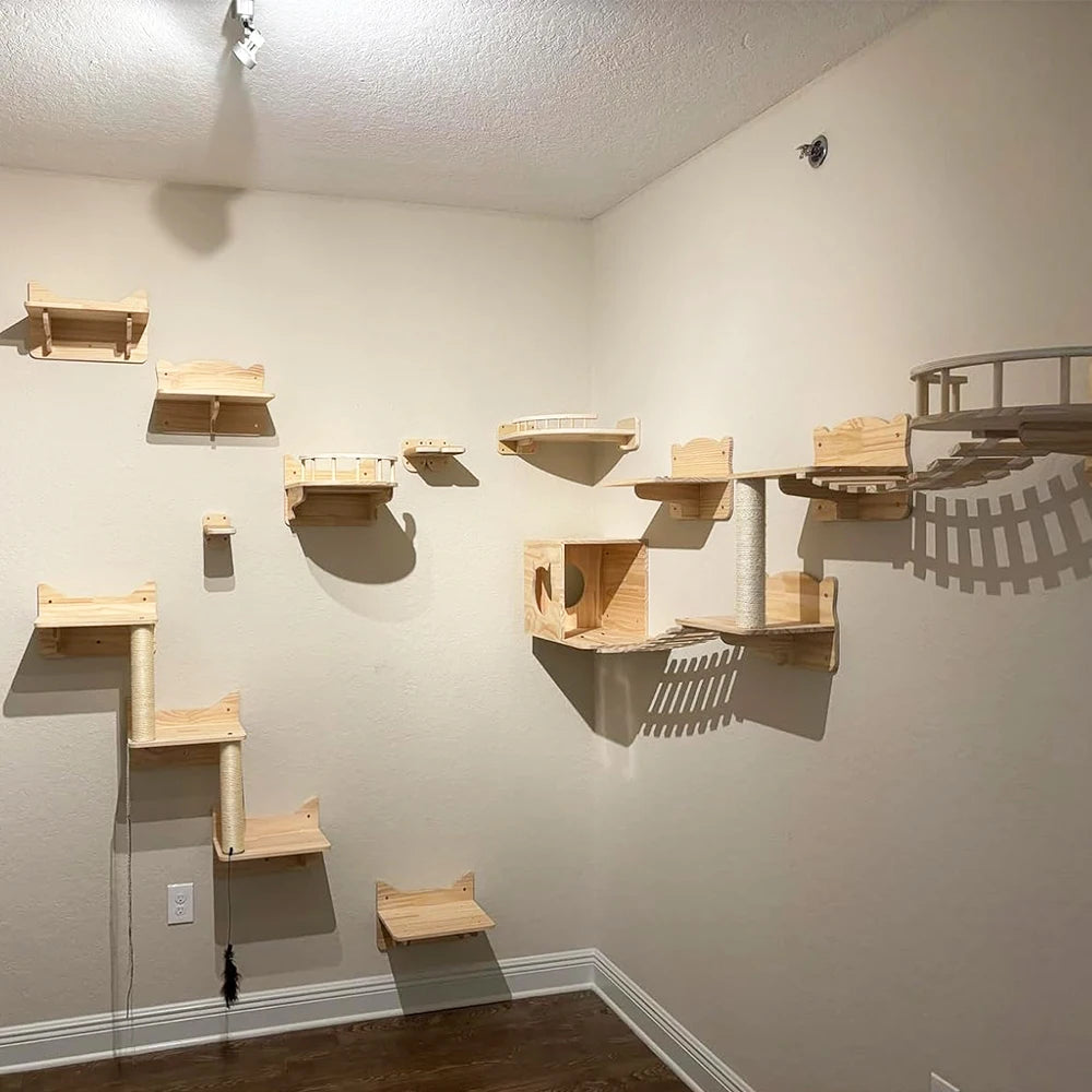 Cat Climbing Shelves