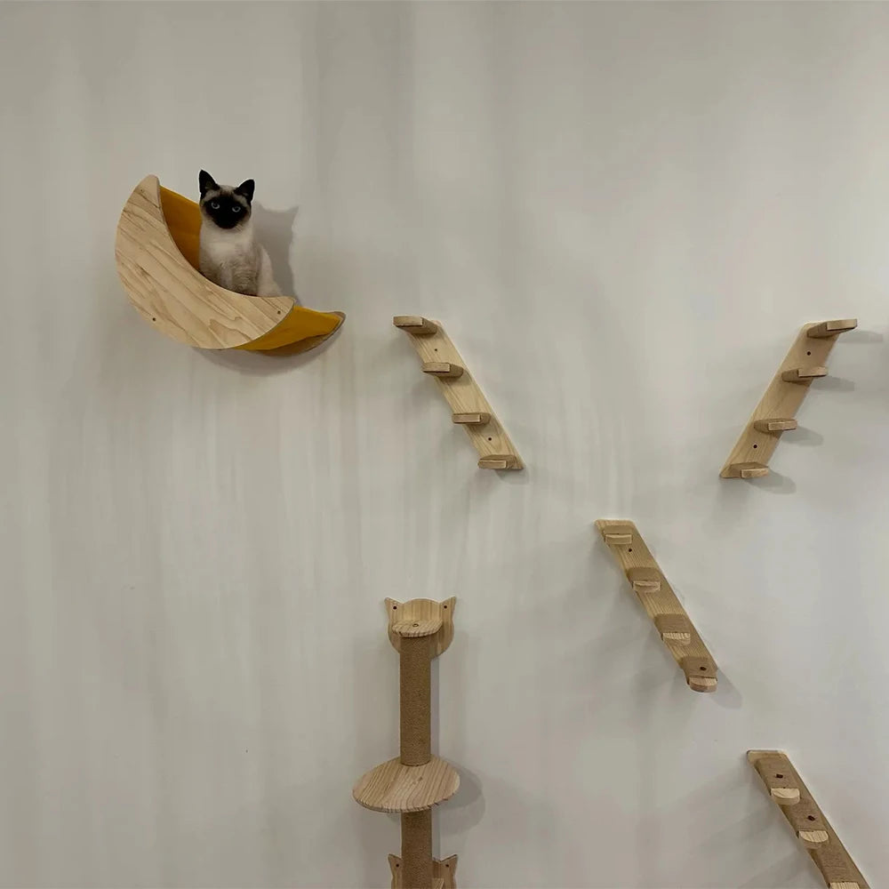 Cat Climbing Shelves