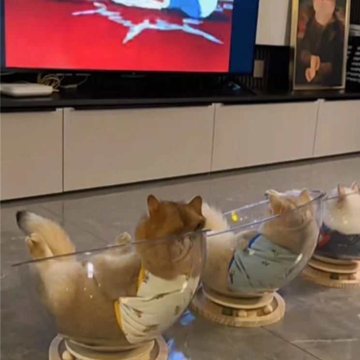 Universeel Capsulebed