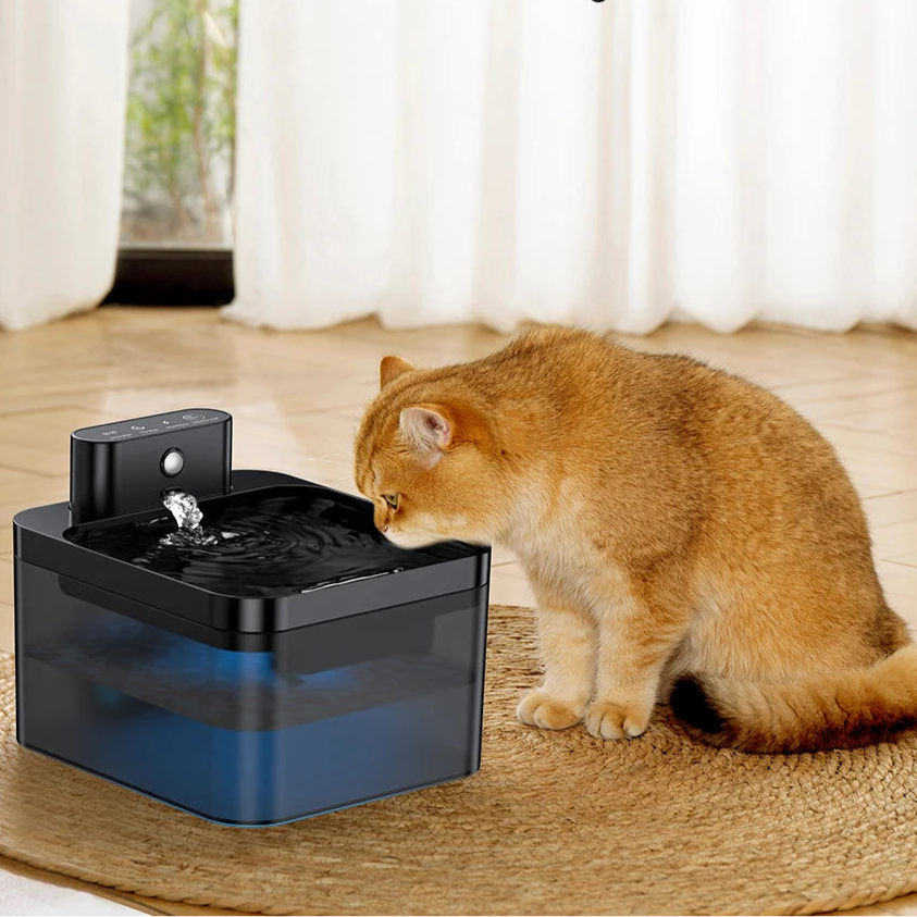 Automatic Water Fountain