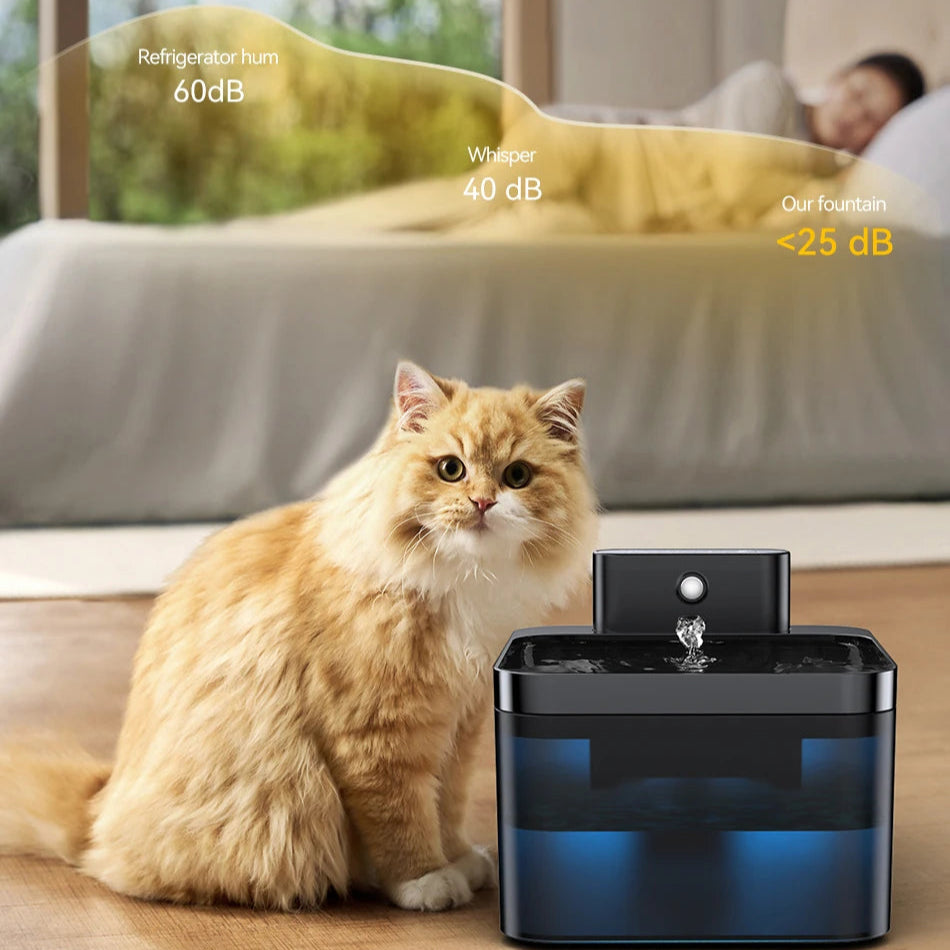 Automatic Water Fountain