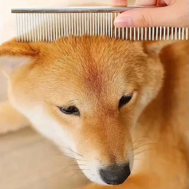 Grooming Scissors Set