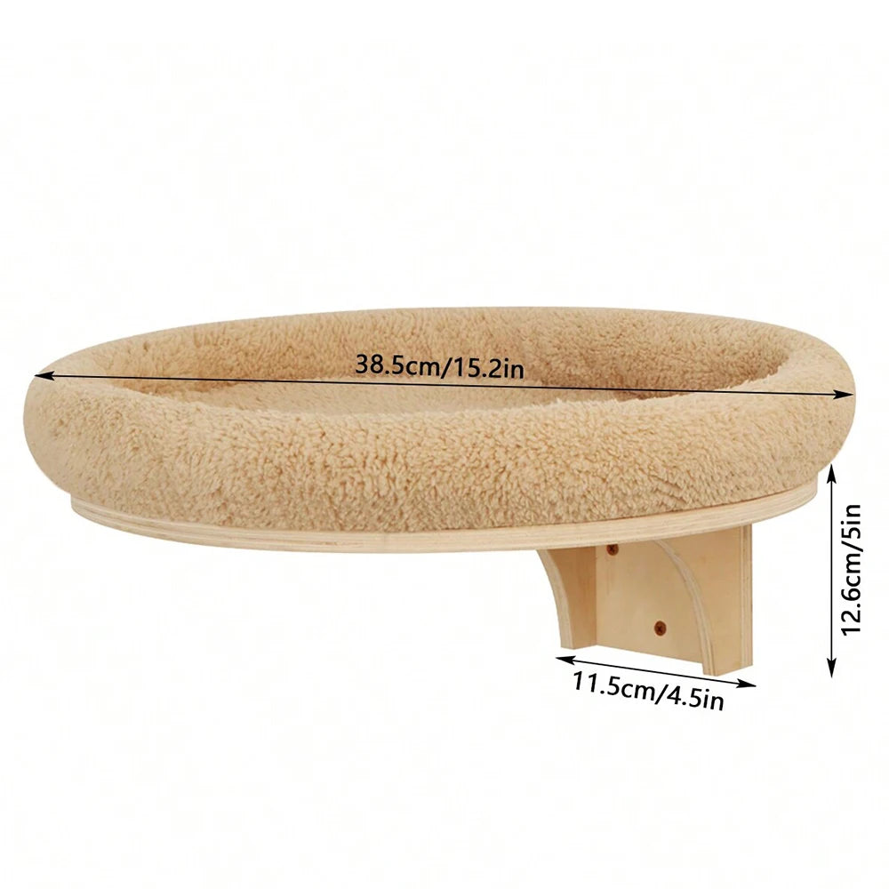 Cat Climbing Shelves