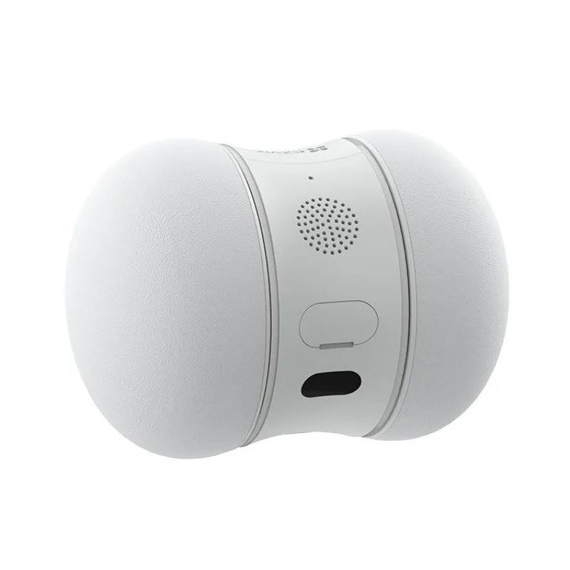 Interactive Pet Robot