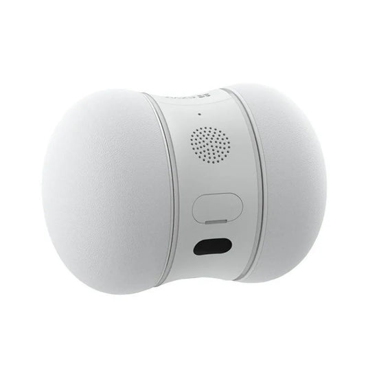 Interactive Pet Robot