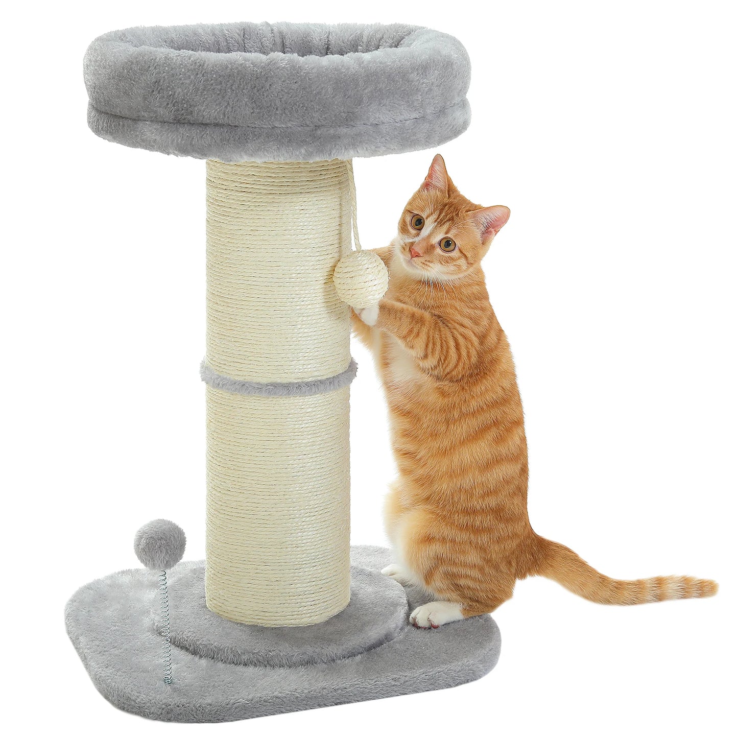 Scratching Post