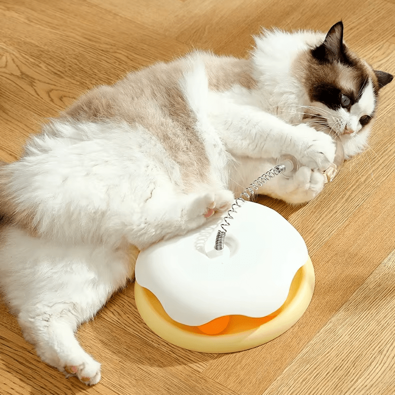 Interactive Food Feeders - GAUDLUS