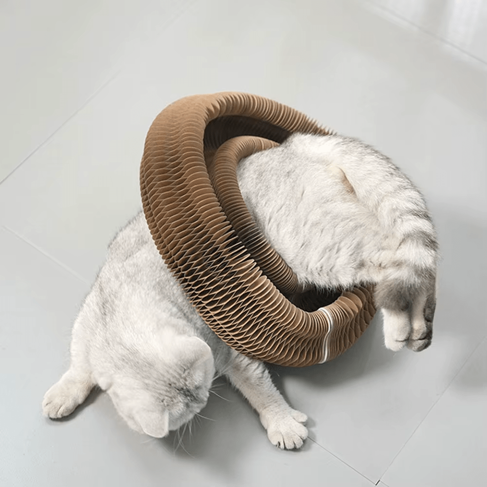 Scratching Board - GAUDLUS