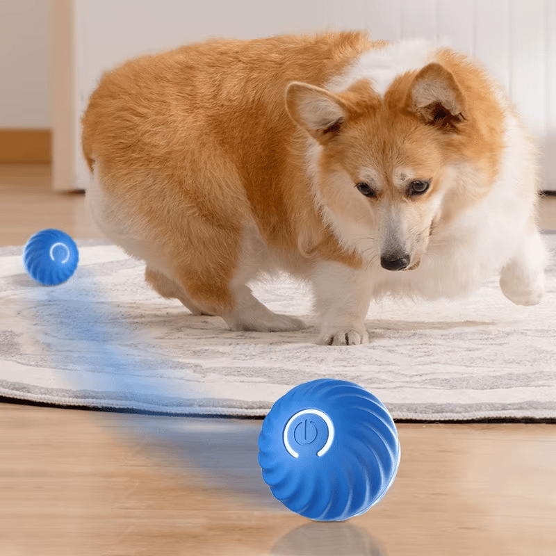 Electric Dog Toys - GAUDLUS
