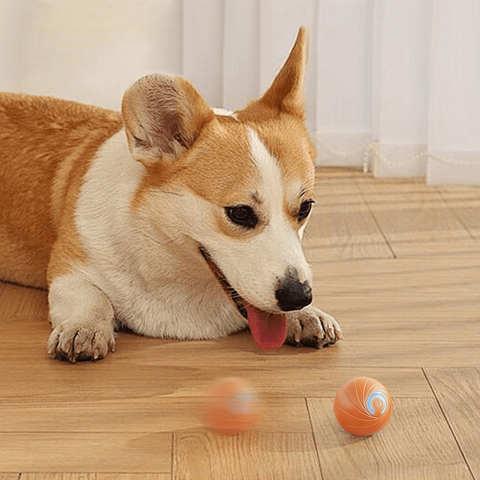 Electric Dog Toys - GAUDLUS