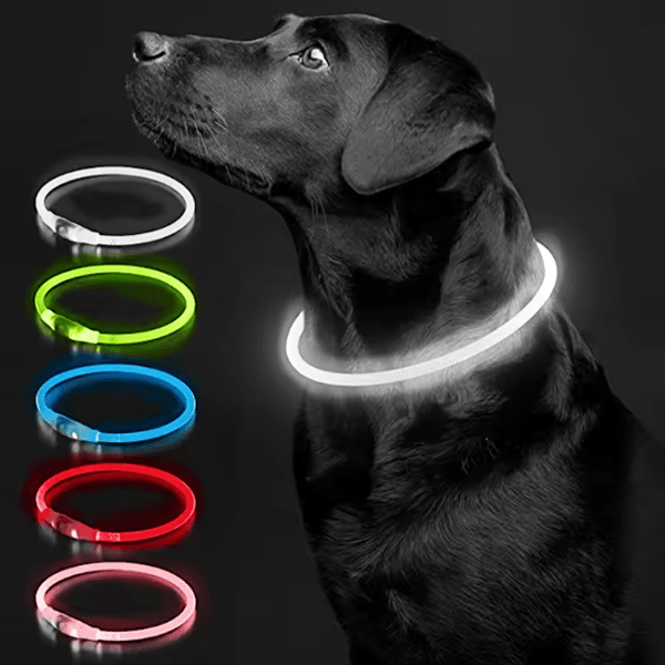 LED Collar - GAUDLUS