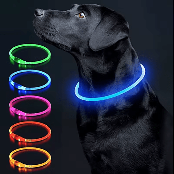 LED Collar - GAUDLUS