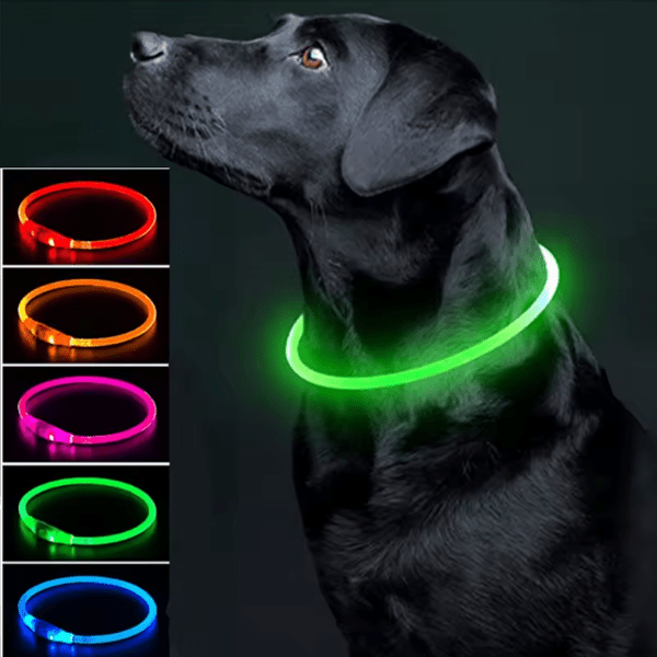 LED Collar - GAUDLUS