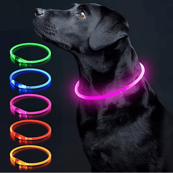 LED Collar - GAUDLUS
